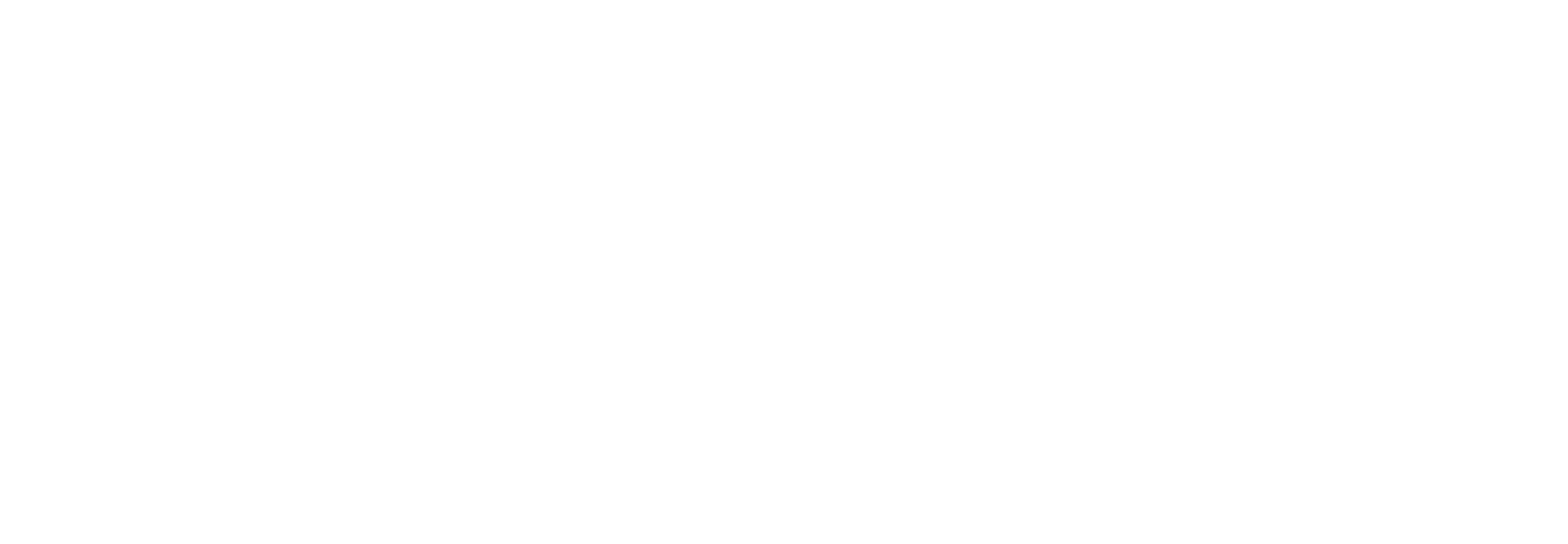 MSN blanc scaled